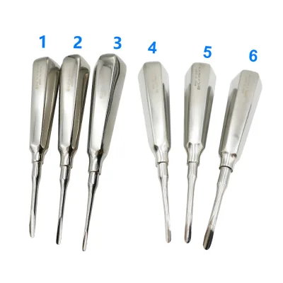 Good Quality Uncoated Surgical and Dental Elevator Stainless Steel Dental Triangle Root Elevators Dental Instruments