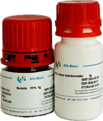 Cell Culture Media Lactose Broth