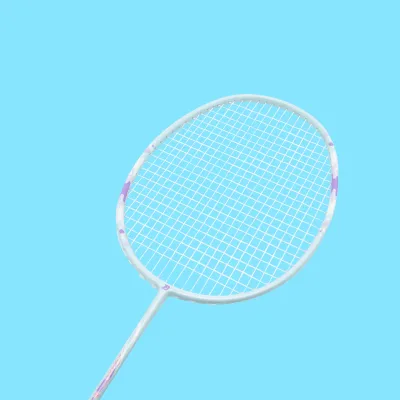 Custom Full Carbon Fiber Badminton Racquet Badminton Favourable Price Graphite Badminton Rackets