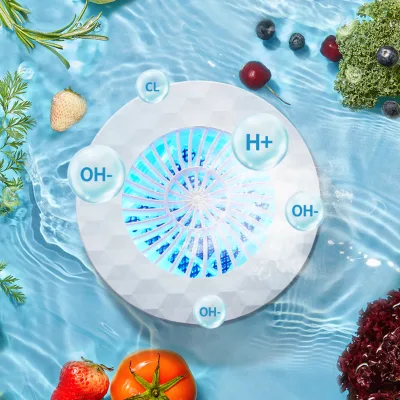 Manufacturer Eraclean Home Use Fruits and Veget Cleaner Fruit Cleaning Machine Ozone Fruit Washer