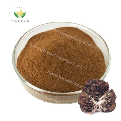 Immunity Enhancement 100% Pure Natural Grifola Frondosa Maitake Mushroom Extract Powder