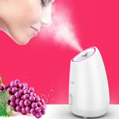 Other Beauty Equipment Pure Pink Face Steamer 2023