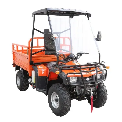 2023 250cc Off Road Buggy/ATV Utv With Trailer Hot on Sale