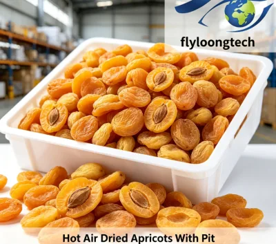 Bulk Wholesale Pure Natural Hot Air Dried Whole Apricot With Pit Sugar Free No Additives Dried Apricot for Food Processing