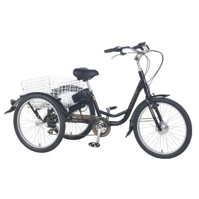 250W Motor Power 3-Wheel Adult Electric Cargo Tricycle 7-Speed Handicapped Bike GW7015E Adults China Bikes