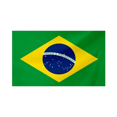 Syloid Brazilian 3x5 Outdoor Flag Vivid Color 100D Polyester Long Lasting Double Stitched 2 Brass Grommets Brazilian National