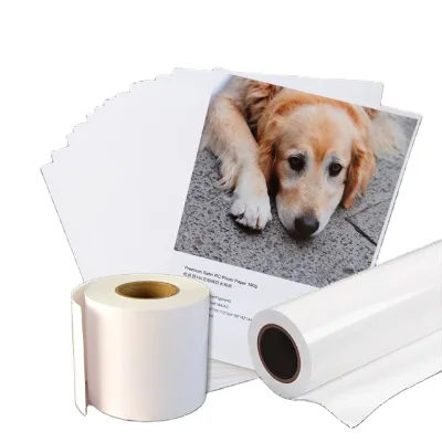 Distinguished Perfect Color Performance Proofing/Press Media Self-adhesive Full Transparent Film Glossy