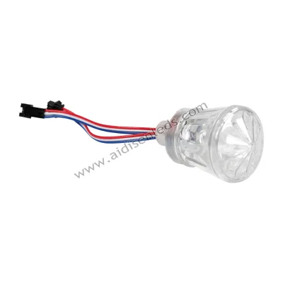 High Quality Fairground Led Outdoor Light Smart RGB Amusement Lighting DC12V 24V 6 Led for Landscape Lighting Decoration