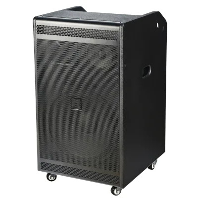 15 Inch 300W Professional Wooden Bluetooth Speaker Support USB/SD/AUX for Party, Outdoor