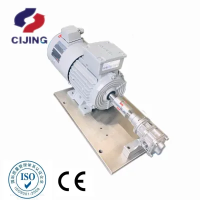 high quality cast iron gear metering pump low viscosity with frequency motor servo motor with pulsation-free made in China