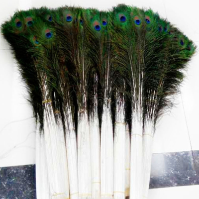 Hot Sale Artificial Peacock Feathers Natural Peacock Feathers Decorative Feathers for Hats