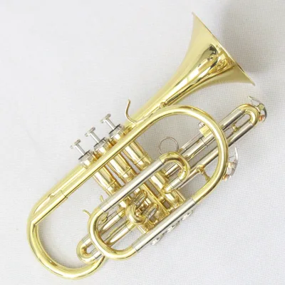 Wholesale FCT-100 BB Tone Gold Lacquered Cornets Music Instrument Brass Body Cupronickel Slide Stainless Steel Piston OEM