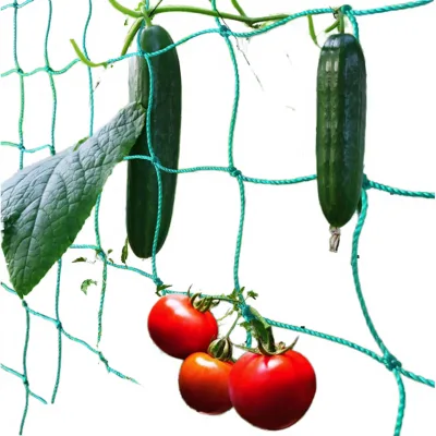 Direct Factory Max Yield Anti Rot Multi Purpose Eco Plastic Width 3m Plant Support Net for Orchids Better Aeration Peru
