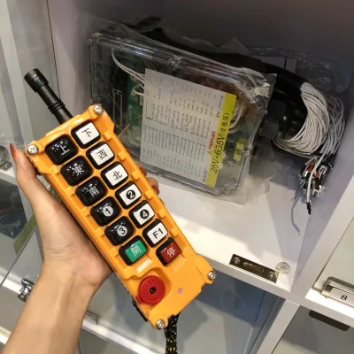 HZBOY F24-12D Quality Assurance 100m Range 12 Button Double Speed Waterproof Intelligent Remote Control Crane Electric Hoist
