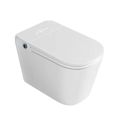 Smart Toilet Large Size Seat Widen Fully Automatic Siphon Flushing Instant Heating Double Water Supply Ceramic Remote Control