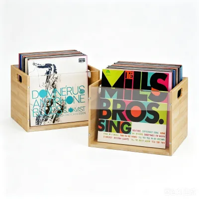 Record Storage Box, Visible Record Rack Box with Handle, Cube CD Rack for Album Storage and Organization, Easy to Assemble