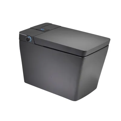 Square s Trap Chinese Girl Ceramic One Piece Smart Toilet Intelligent