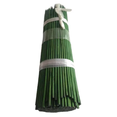 Eco-Friendly Dye Color Bamboo Garden Stakes for Orchid