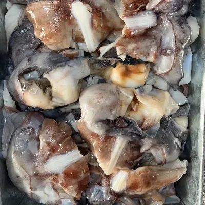 Factory Direct China Origin 500G+ Frozen Squid Neck for Market