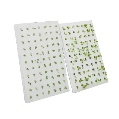 Hydroponic Foam Waterproof Panel XPS Foam Board Single-span Agricultural Greenhouses