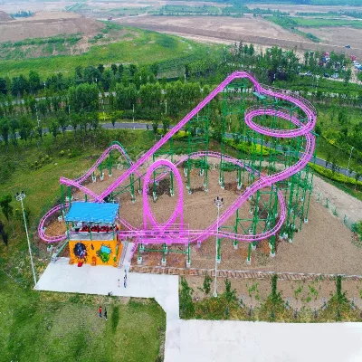 Customized Garden Roller Coaster Rides Extreme Theme Park Adventure Ride Arge Outdoor Amusement Equipment for Sale