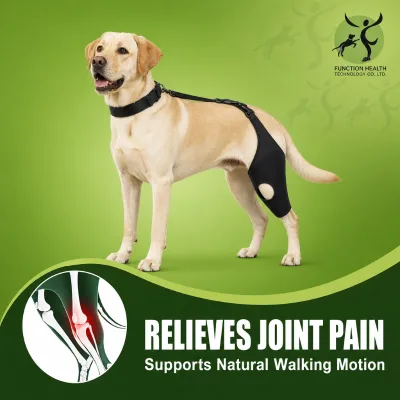 Customizable Logo Size Dog Knee Brace Tom ACL Hind Leg Segment Hook and Loop Buckle Closure Brace for Injured Dog Hind Leg Care
