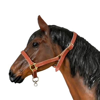 OEM All-Purpose Lightweight Strong Leather Trail Riding Halter with a Secure Fit for Adventurous Rides