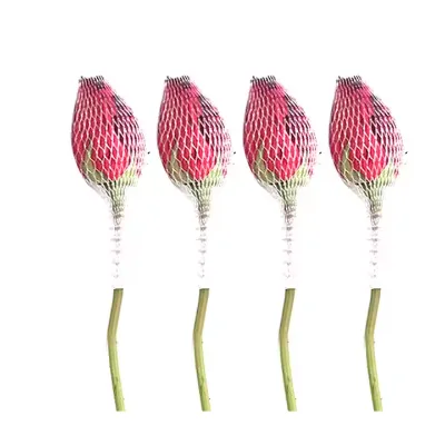 Durable PE Protective Net Bag Packaging Rose Protector Mesh Net Sleeve for Garden Flower and Makeup Brushes Set