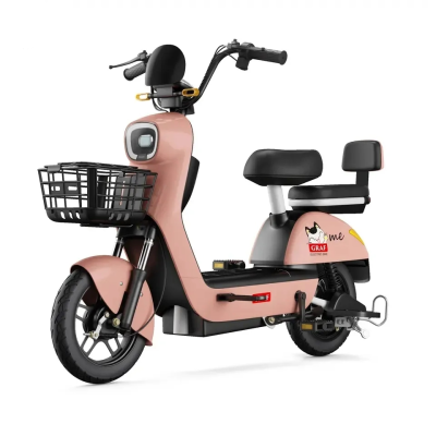 Electric Motor Bike 48 v Batteries for Electric Bikes Electric Bike Motorcycles