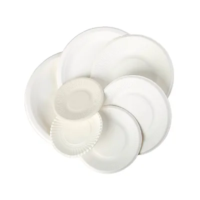 Factory Direct Sales Free Samples Oil-Proof and Waterproof Disposable Dinner Plates Paper Plates for Parties and Birthdays