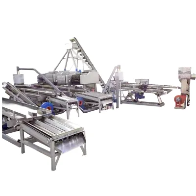 Automatic Cashew Peeling Machine & Processing Line for Nuts 380V 2-Year Warranty