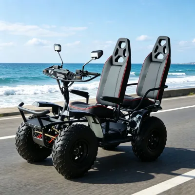 Wholesale Electric Scooter 4 Wheel Drive High Power 60V 50Ah Lithium Battery Long Range Vehicle
