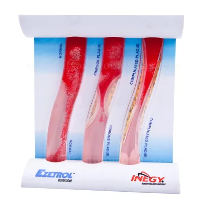 LDL Vascular Pathology Disease Demonstration Model Dynamic Atherosclerosis Blood Vessel Teaching Resources Model