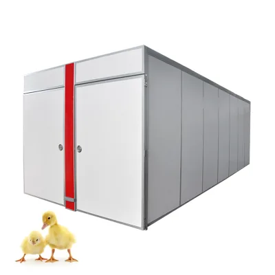 Tunnel Setter Incubator 90720 Eggs King-7 Series Positive Negative Pressure Airflow Chicken Hatchery Machine