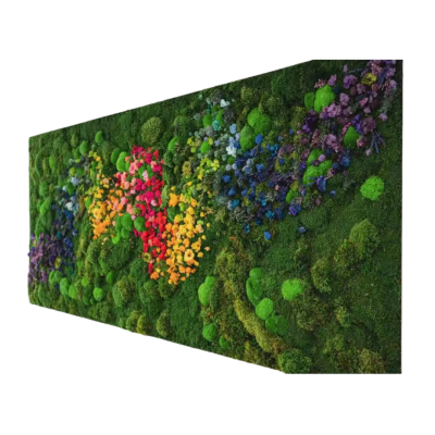 Soft Green Preserved Moss Grass Wholesale Colourful Fresh Real Preserved Moss for Home Wall Decoration