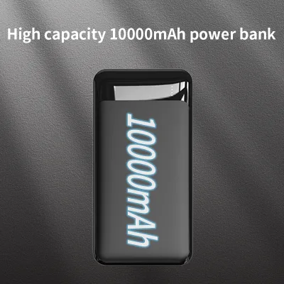 Custom Logo Dual USB Output Power Bank with Type-C & Micro USB Input Li-Polymer Battery 8000/10000mAh LED Indicator for Phone