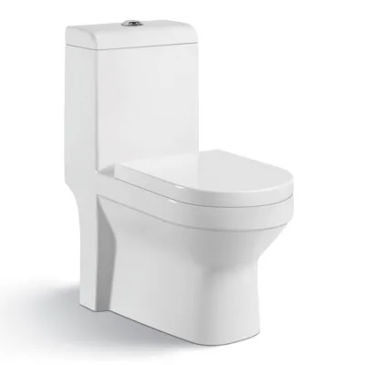 Modern 4-Inch Ceramic Toilet Seat with S-Trap Drainage Straight Row Horizontal Siammed for African Middle Eastern Bathrooms