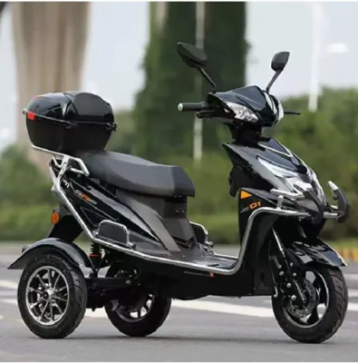 SHUNYANG Electric Dirt Bike Tuk Tuk Motorcycle 801-1000W >60V 50-70km Range 30-50km/h Speed Open Body 2 Passengers
