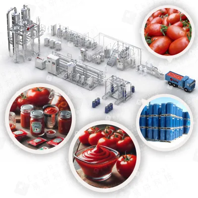 Tomato Paste Production Plant with 316 Stainless Steel for Senegal Small Factories