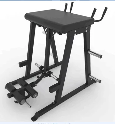Commercial Gym Equipment Reverse Hyper SZG021/leg Exercise Machines/fitness Equipment