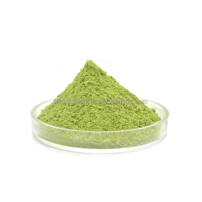 Private Label Chlorophyll Herbal Extract Natural Food Pigment Powder Chlorophyll