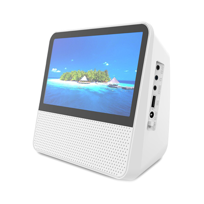 Portable DVD VCD CD Player with Bluetooth, Home Video Disc Player for Kids Learning, Multifunctional Movie and Music Player