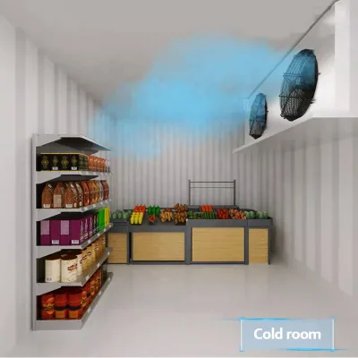 DD DJ DL Air Cooled Evaporator Iron Body for Vegetable Cold Room Storage Factory Direct Wholesale Price B2B Bulk Supply Kit