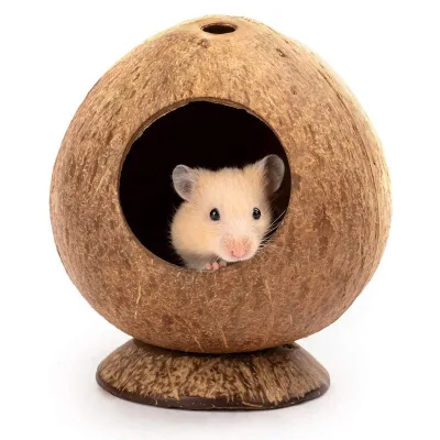 Hot-Selling Modern Eco-Friendly Small Coconut Classic Solid Hamster House In-Winter Heattech Nests Popular Cross-Border