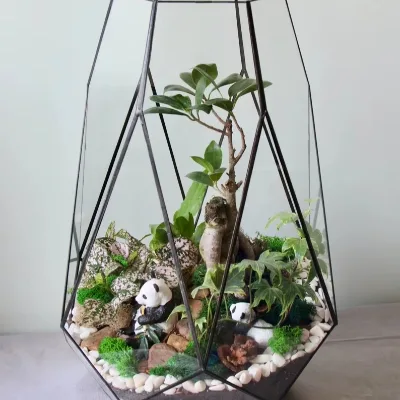 Stunning Glass Terrarium As a Timeless Christmas Gift Elegant Indoor Home Decor