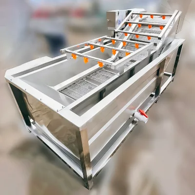 Factory Sale Shrimp Grape Washing Machine Fruit and Vegetable Washer Farm Washer Machine