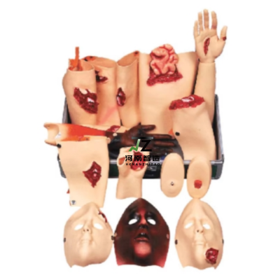 China Medical Science Advanced Trauma Assessment Module Model for Teaching and Training