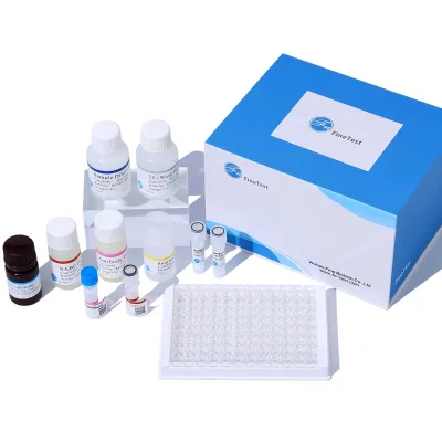 Custom Chemical Services FineTest Biological Rat INS ELISA Kit Quick Insulin Assay High Sensitivity for Research Clinical