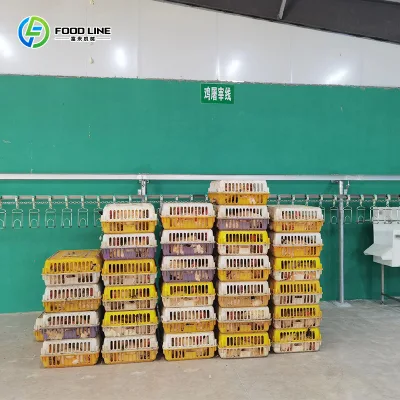 High-Quality Customizable Halal Poultry Chicken Duck Goose Slaughtering Machine Equipment Processing Line