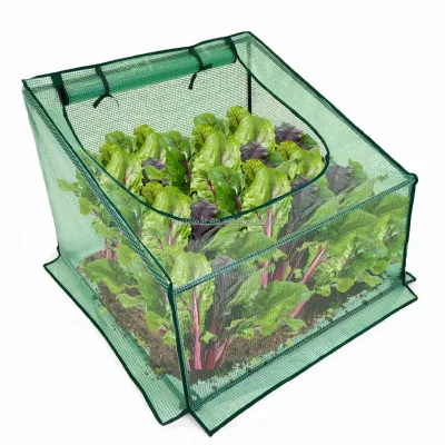 Outdoor Portable Waterproof Mini Greenhouse Tent with Zippered Roll-up Doors and Iron Tube Frame